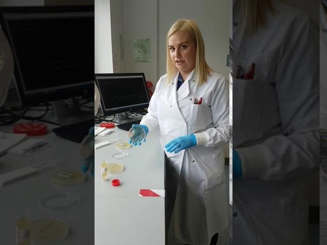 Microbiology Lab, Altnagelvin Hospital | Biomedical Science at the Western Trust