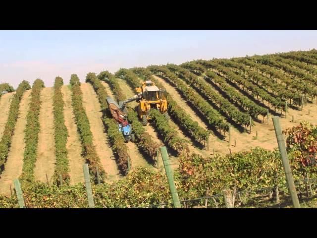 The New Oxbo 6120 grape harvester