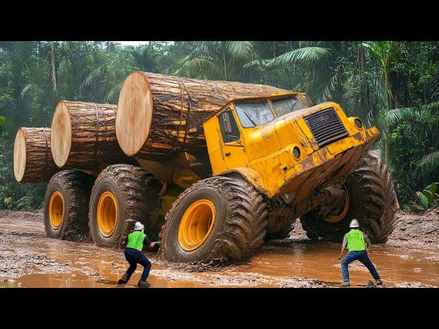 Dangerous Idiots Truck & Heavy Equipment Fails Compilation | Extreme Truck Idiots at Work #31