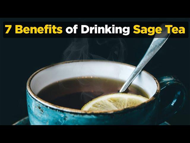 Sage Tea: 7 Benefits of Drinking Sage Tea