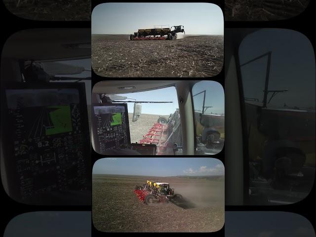 Nexat and Vaderstad: Superior Sunflower Sowing Technology 