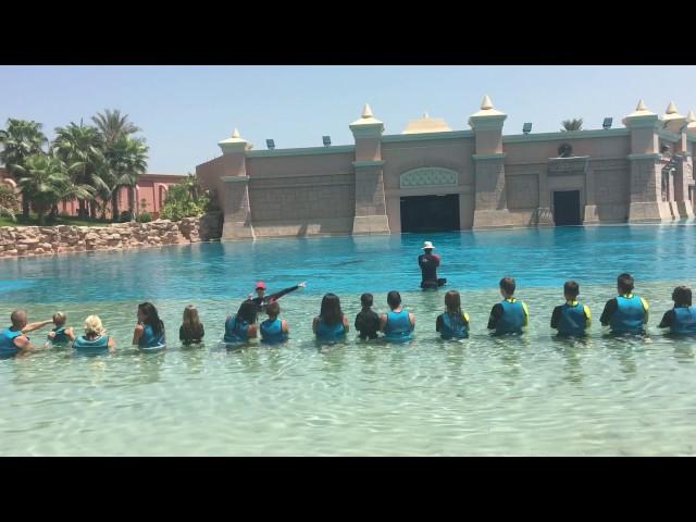 Dubai Travel Vlog 2016 - Charlie Besant