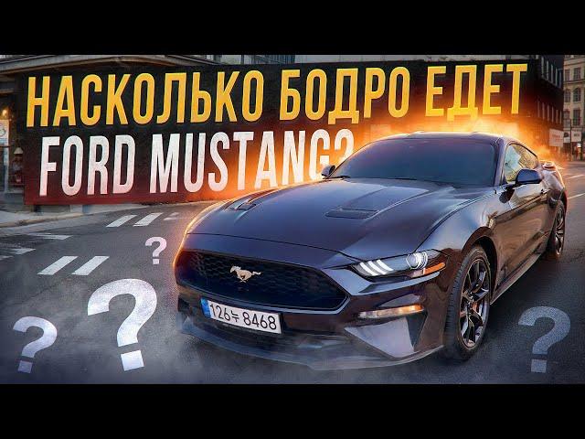 ТЕСТ-ДРАИВ И ЗАМЕРЫ СКОРОСТИ ЗНАМЕНИТОГО FORD MUSTANG!