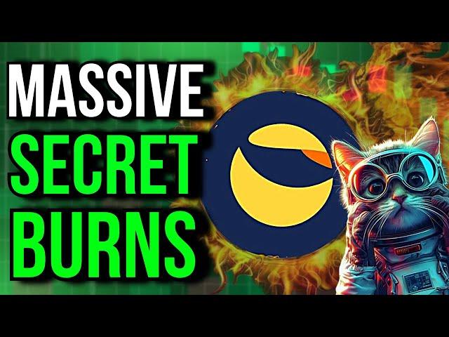 MASSIVE LUNC BURNS EXPOSED! BUT WHO DID IT?