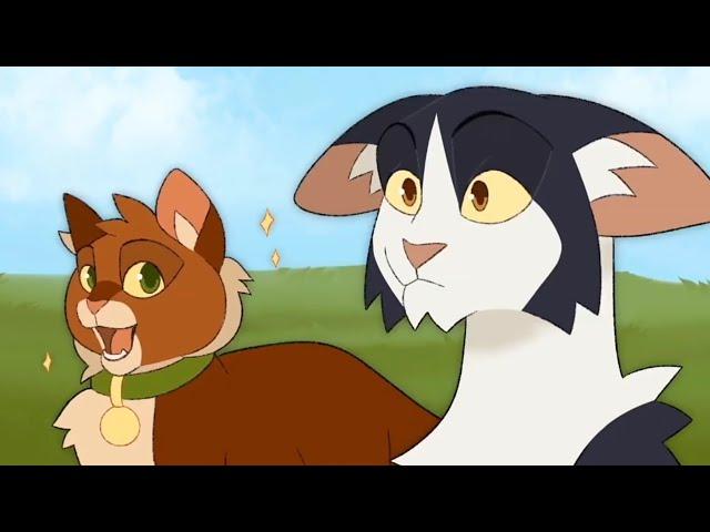 Funny Warrior Cats Memes Compilation