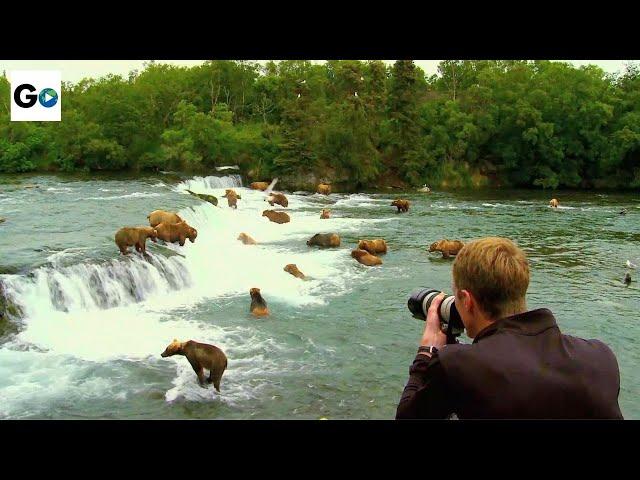 Katmai National Park