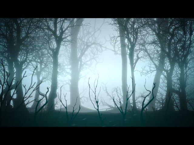 Mystical Halloween Background With Dark Forest Fog | Premium Video Footage | 4K