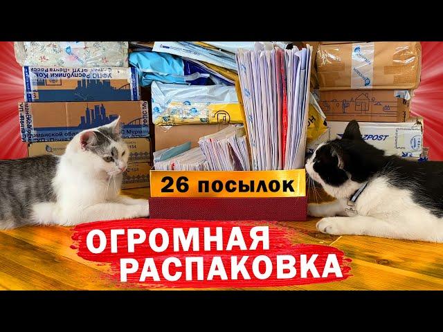 26 ПОСЫЛОК от ПОДПИСЧИКОВ! ЧТО в КОРОБКАХ? **ОГРОМНАЯ РАСПАКОВКА**