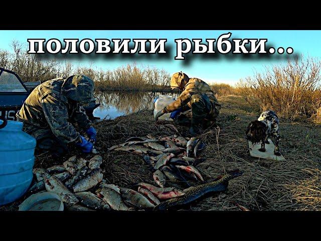 СОТНИ КИЛОГРАММ РЫБЫ!!! МЫ НЕ БРАКОНЬЕРЫ! рыбалка на крайнем севере!!! HUNDREDS OF KILOGRAMS OF FISH