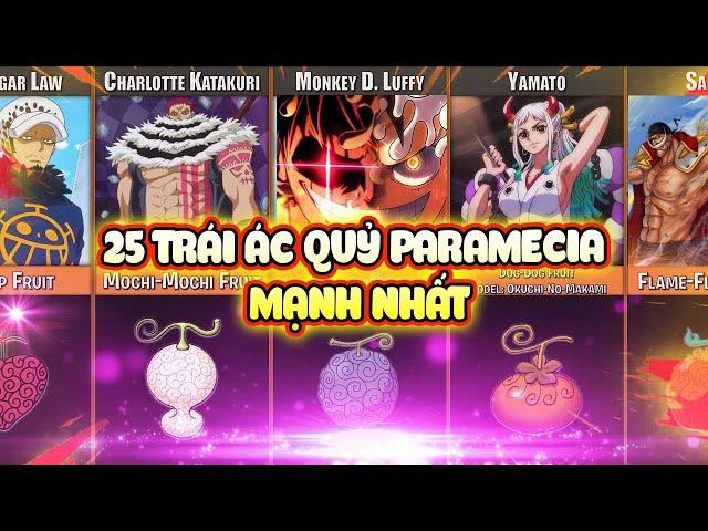 Xếp Hạng 25 Trái Ác Quỷ Paramecia Mạnh Nhất One Piece Hiện Tại