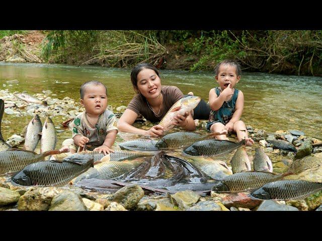 Encounter a huge school of fish - catch fish and trap fish on a rainy day - cook with your children