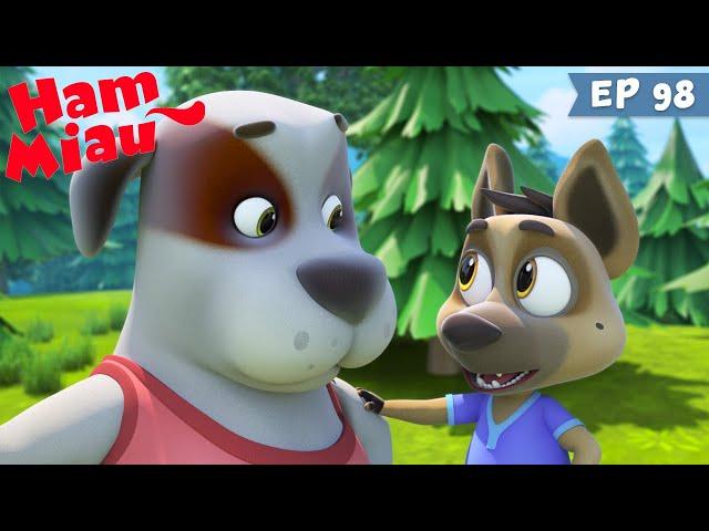 Ham Miau  Spirijin emotional  Desene animate in romana | HeyKids