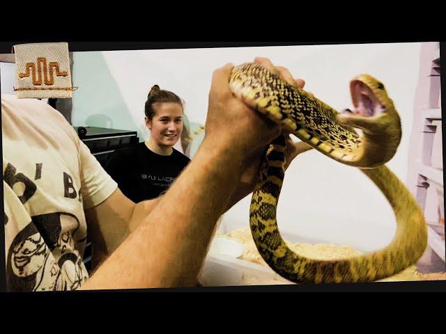 Bull Snakes Don't Bite | w/ Summer Stephenson