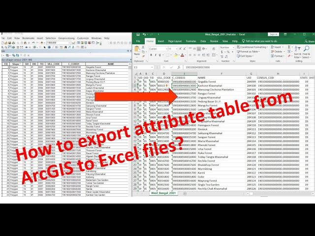 How to export attribute table from ArcGIS to Excel files?