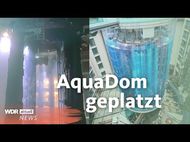 AquaDom Berlin: Riesen Aquarium geplatzt | WDR aktuell