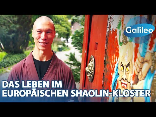 Alltag im Shaolin Temple Europe: Harte Ausbildung, viel Verzicht & viel Disziplin