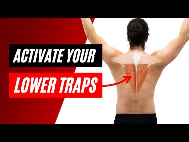 How to activate the lower trapezius muscle - progressive strengthening exercises to engage the traps