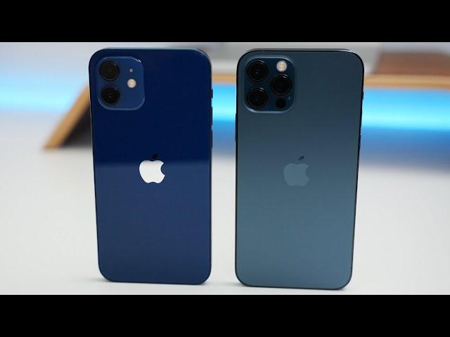 iPhone 12 vs iPhone 12 Pro - Which Should You Choose?