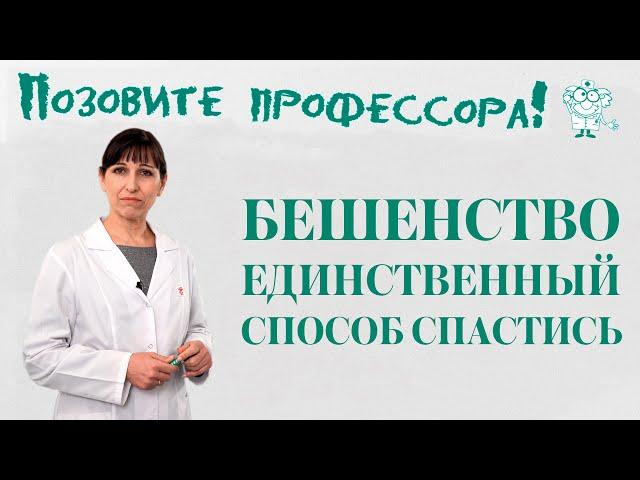 Бешенство. Единственный способ спастись