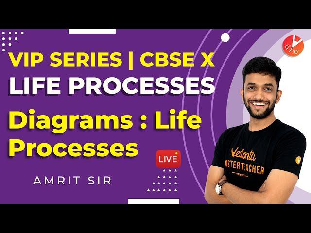 Life Processes: Important Diagrams L1 | CBSE Class 10 Science (Biology) Chapter 6 NCERT | Vedantu