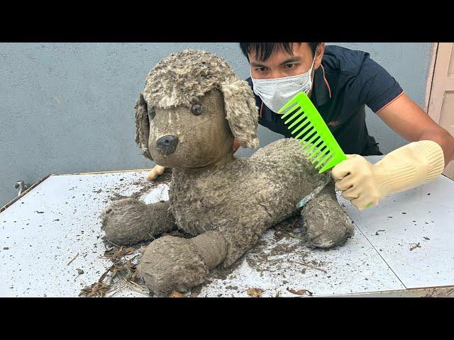 Dog Muddled Cleaning transforms Rescue Muddy Dog Perfect Washing ASMR