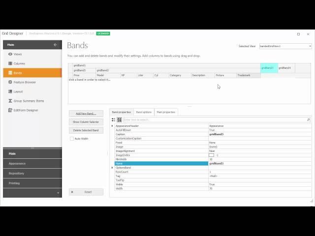 WinForms Grid - Banded Grid View Basics