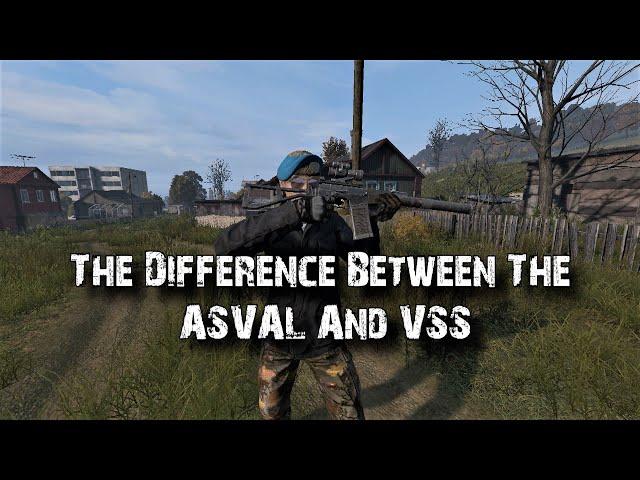 The Difference Between The ASVAL And The VSS!! (DayZ Experimental 1.11)