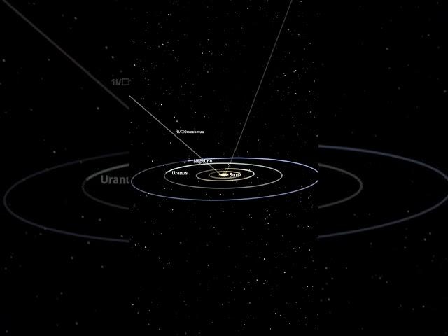 When Oumuamua came and left to never come back again. #space #cosmoknowledge