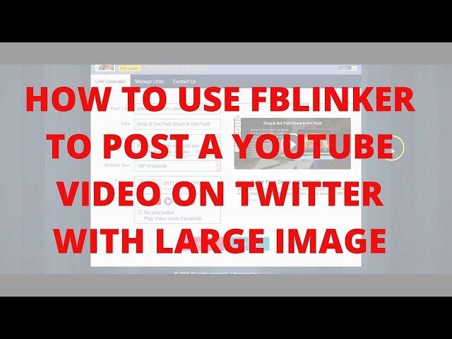 How to use fblinker to post a youtube video on Twitter with large image