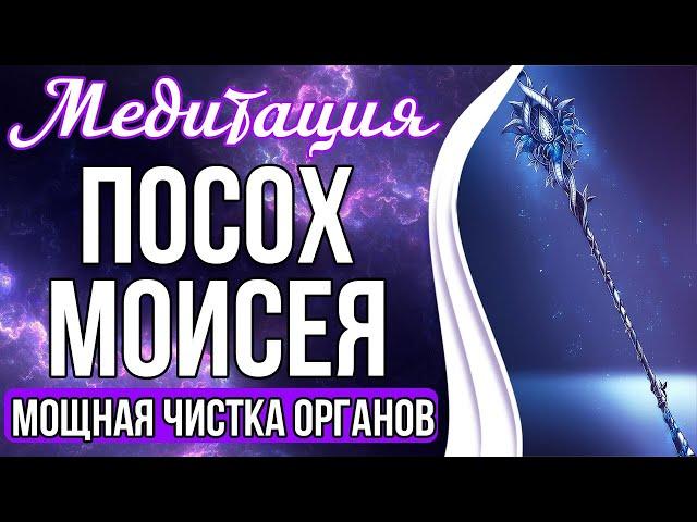 МОЩНАЯ ЧИСТКА ОРГАНОВ  Чистка Чакр и Меридиан