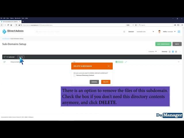 How to remove sub domain in DirectAdmin   DA MANAGER