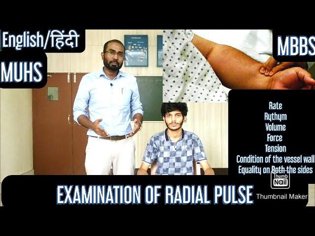 Examination of Radial Pulse (English/Hindi) | MUHS | #mbbs #medicine #practical #cvs