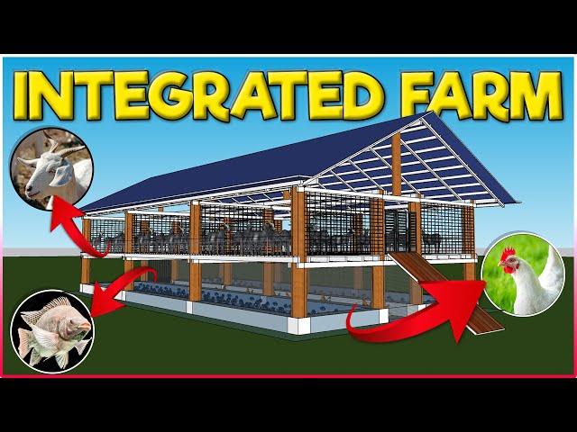 Integrated Goat, Chicken and Fish Farming | Integrated Farming System