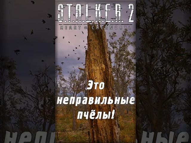 Это неправильные пчёлы! | S.T.A.L.K.E.R. 2