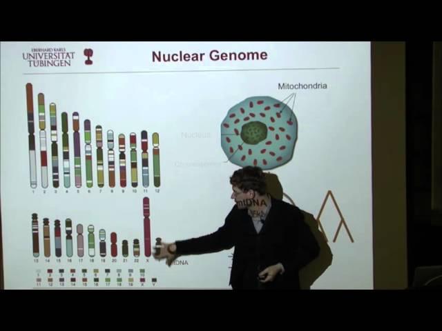 Ancient Human Genomes...Present-Day Europeans - Johannes Krause