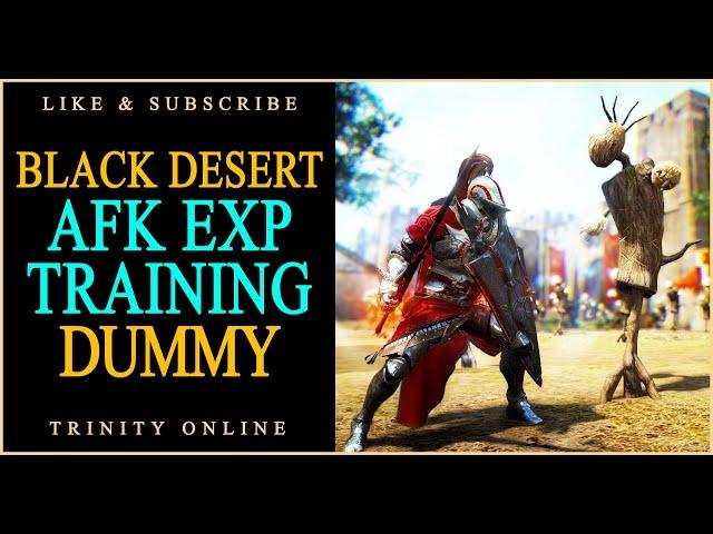 Black Desert AFK Dummy Training Guide BDO scarecrow training for beginners Trinity Online