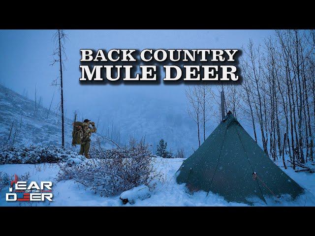 Backcountry Rifle Mule Deer Hunt | 4K FILM