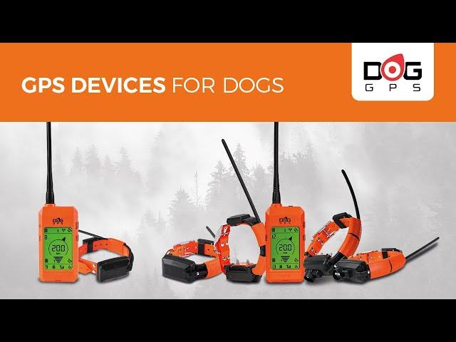 GPS tracking devices for dogs | Dogtrace