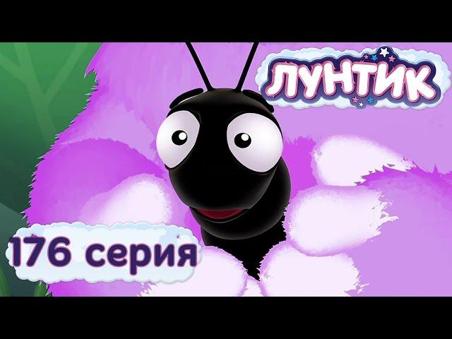 Лунтик | 176 серия | Плохая примета