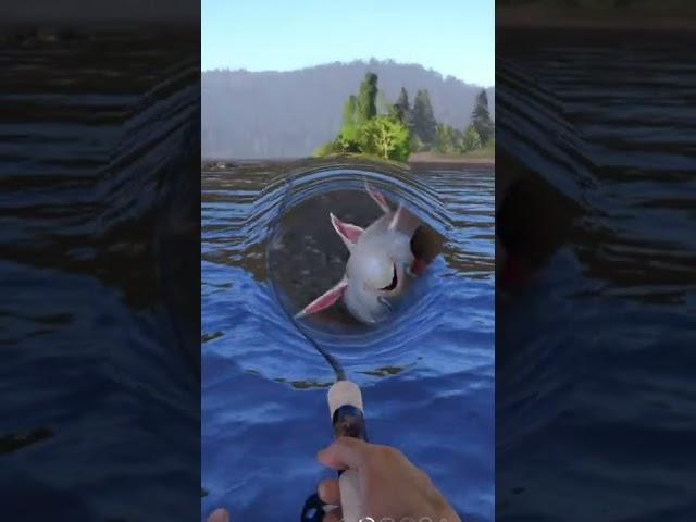 Fishing with ultralight spinning. Fishing with spinnersRF4 short #shorts #fishing #gaming