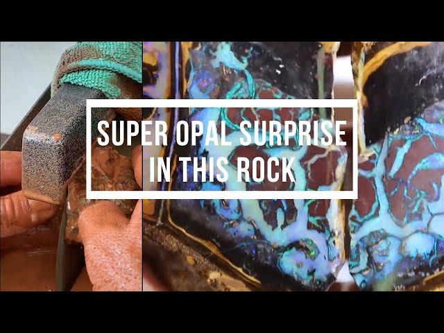 Super Opal Surprise in this Rock! | Opal Auctions