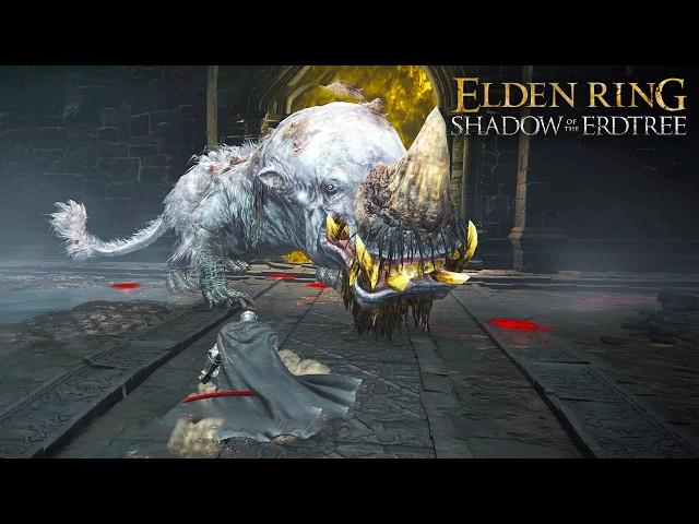 Elden Ring: Shadow of the Erdtree - Golden Hippo Boss Fight (4K) No Mimic