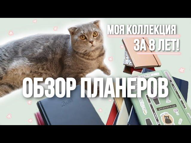 Обзор планеров и ежедневников | ИДЕИ трекеров и разворотов для БУЛЛЕТ ДЖОРНАЛ | Моя коллекция