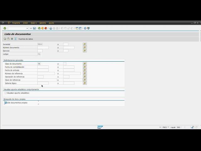 Pasos Iniciales con SAP FI - 07 - Visualización y Modificación de Asientos Contables