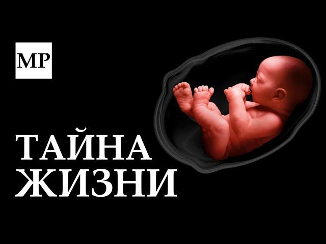 Как жизнь нарушает законы физики?