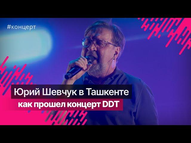 Концерт группы DDT в Ташкенте 2024 @officialddt