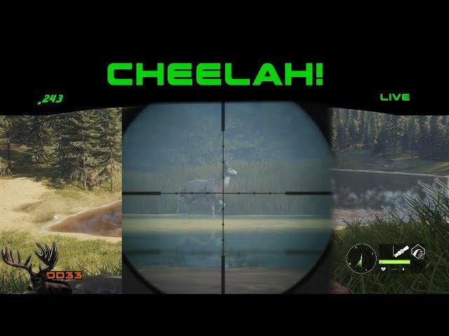 Exploring CHEELAH!  Call of the Wild Live  THEHUNTER 2017