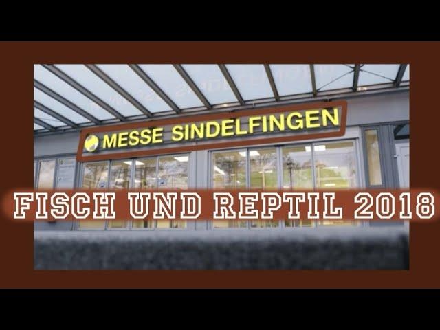 FISCH und REPTIL 2018  & PALUDARIUM WORKSHOP *VLOG*