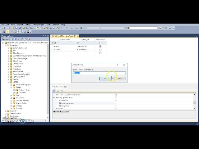 How set Primary Key and auto Increment in SQL Server Database Tables Part 7