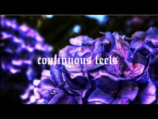 continuous feels by Sahar Habibi